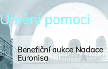 Aukční zpravodajství - obrázek