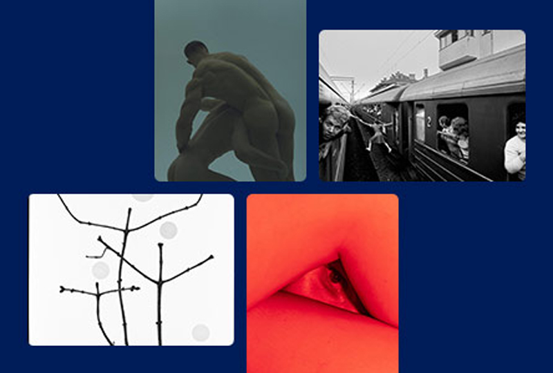 Aukční zpravodajství - obrázek