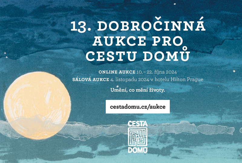 Aukční zpravodajství - obrázek