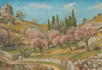 foto k článku