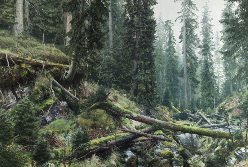 Události - obrázek