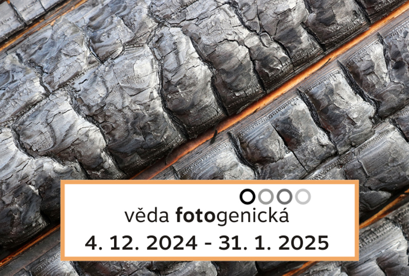 Události - obrázek