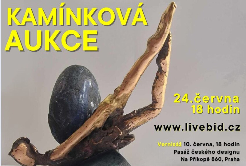 Aukční zpravodajství - obrázek