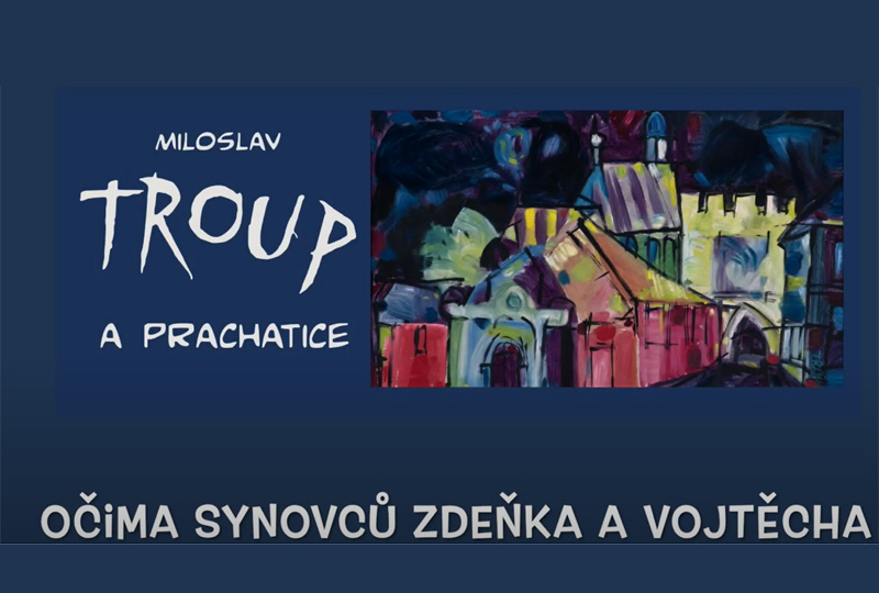 Videa - obrázek