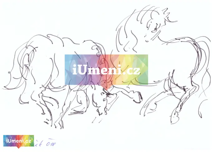 Koně Koně - obrázek