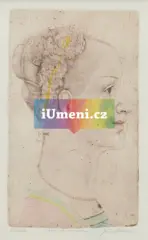 Věneček Věneček - obrázek