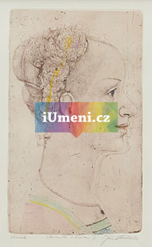 Věneček - obrázek