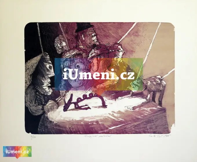 Veřejné mínění Veřejné mínění - obrázek