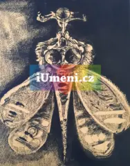 Můra - obrázek