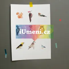 Lesní ptactvo Lesní ptactvo - obrázek
