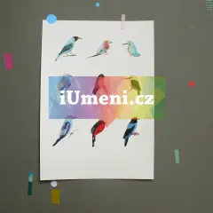 Ptáčci 1 Ptáčci 1 - obrázek