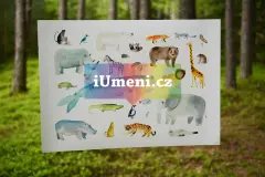 Zvířata Zvířata - obrázek