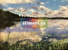 Třeboňsko – rybník Rod Třeboňsko – rybník Rod - obrázek