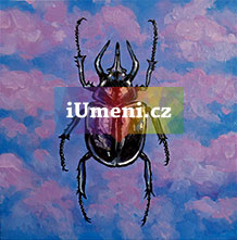 Chalcosoma atlas - obrázek