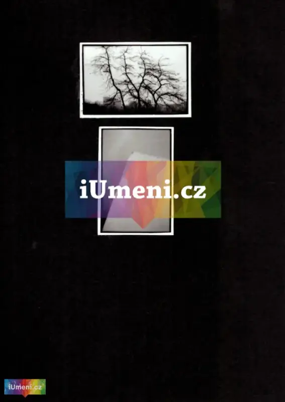 bez názvu – diptych XVII. bez názvu – diptych XVII. - obrázek