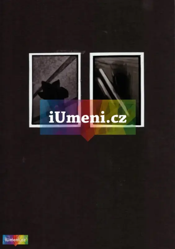 bez názvu – diptych XIX. bez názvu – diptych XIX. - obrázek