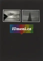 bez názvu – diptych X. bez názvu – diptych X. - obrázek