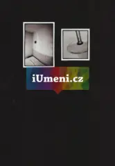 bez názvu – diptych XI. - obrázek