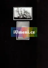 bez názvu – diptych XVII. bez názvu – diptych XVII. - obrázek