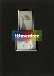 bez názvu – diptych IX. - obrázek