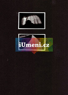 bez názvu – diptych XII. - obrázek