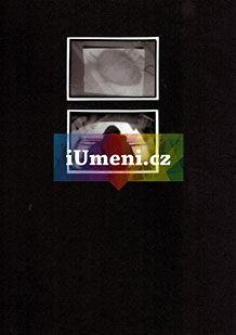 bez názvu – diptych XV. - obrázek