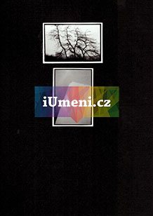 bez názvu – diptych XVII. - obrázek