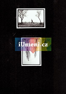 bez názvu – diptych XVIII. - obrázek