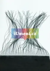 Bouře - obrázek