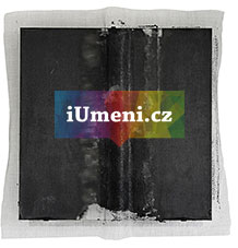Kmen na hladině - obrázek