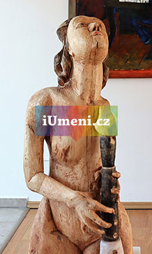 Flétnistka - obrázek
