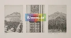 Vinařství Vinařství - obrázek
