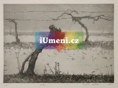 Zima Zima - obrázek