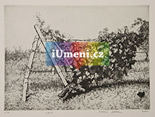 Léto - obrázek