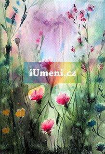 Luční kvítí - obrázek