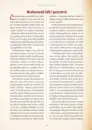 100 let Československa v komiksu - 100-let-v-komiksu_2.webp