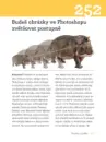 365 přikázání grafického designu - 365-prikazani-graf_5.webp