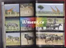 Východní Afrika - Průvodce na safari - afrika_3.webp