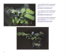 Marianna Alasseur - alasseur_3.webp