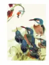 Albatros: 70 let na křídlech dětské literatury - albatros-70_3.webp