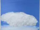 Jaroslav J. Alt - Keře, obzor, oblaka - alt_3.webp