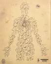 Anatomy Rocks: Flesh and Bones in Contemporary Art - anatomy-rock_1.webp