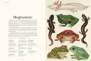 Animalium - animalium_2.webp