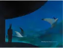 Anubis - anubis_1.webp