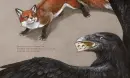 Ezopovy bajky - bajky-unikat_4.webp