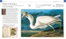 Books That Changed History - books-that_2.webp