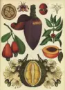 Botanicum - botanicum_1.webp
