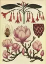 Botanicum - botanicum_2.webp