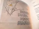 Vladimír Boudník - Tvář na zdi a  Básně (dvousvazková kniha) - boudnik-set_6.webp
