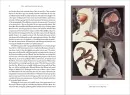 The British Surrealists - british-surrealists_3.webp
